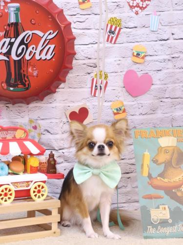 20230930プリューくん